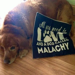 Meet your Posher, Larry